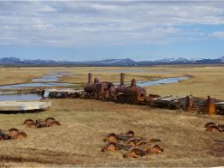 The Train to Nowhere